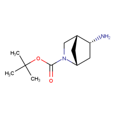 tert-butyl (1S,4S,5S)-rel-5-amino-2-azabicyclo[2.2.1]heptane-2-carboxylate