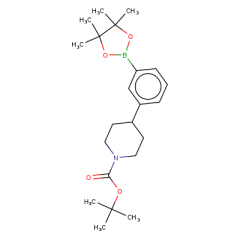 tert-butyl 4-[3-(4,4,5,5-tetramethyl-1,3,2-dioxaborolan-2-yl)phenyl]piperidine-1-carboxylate