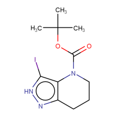 tert-butyl 3-iodo-1,5,6,7-tetrahydropyrazolo[4,3-b]pyridine-4-carboxylate