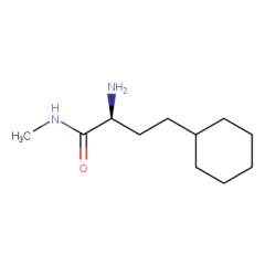 2-amino-4-cyclohexyl-N-methylbutanamide