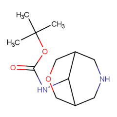 tert-butyl exo-N-(3-oxa-7-azabicyclo[3.3.1]nonan-9-yl)carbamate