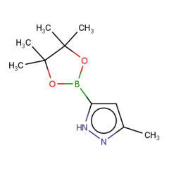 3-methyl-5-(4,4,5,5-tetramethyl-1,3,2-dioxaborolan-2-yl)-1H-pyrazole