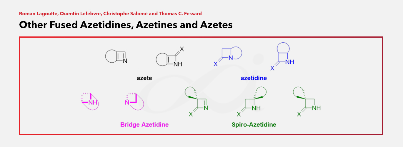 SpiroChem featured in Comprehensive Heterocyclic Chemistry IV