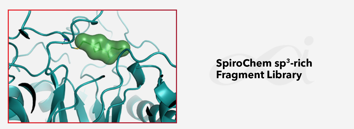 Expertise of the month: 480 sp<sup>3</sup>-rich fragments offered in DMSO solution